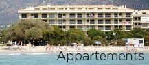 Appartements en location saisonnière